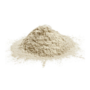 Micorrizhae Endo Ecto